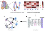 Spatial-omics