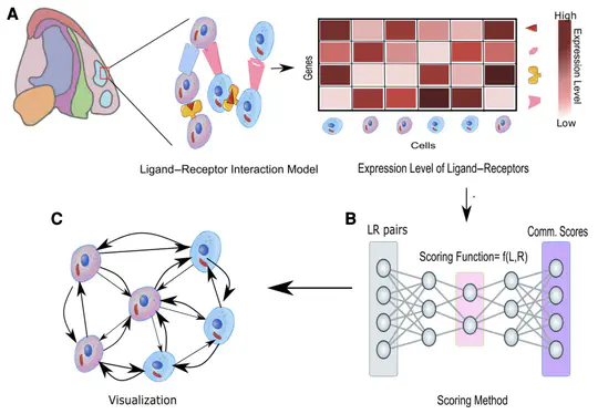 Spatial-omics