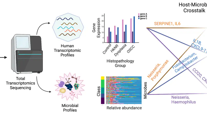 Total RNA sequencing reveals gene expression and microbial alterations shared by oral pre-malignant lesions and cancer