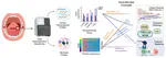 Total RNA sequencing reveals gene expression and microbial alterations shared by oral pre-malignant lesions and cancer